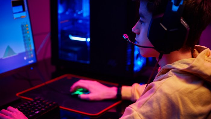 Paid Online Games